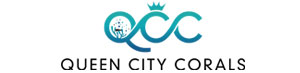 queen-city-corals-300x73